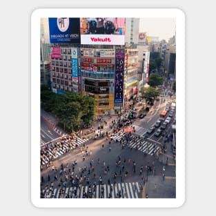 Shibuya Crossing at Dusk Sticker